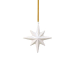 Load image into Gallery viewer, WINTER GLOW ORNAMENT STAR
