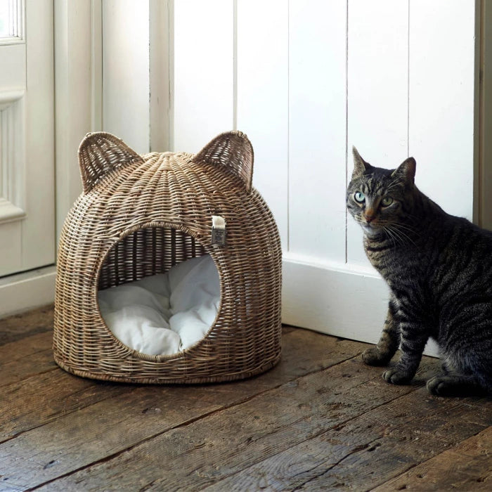 LOVELY KITTEN CAT HOUSE