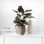 Load image into Gallery viewer, MANUFACTURE COLLIER TAUPE VASE PERLE LARGE
