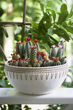 Load image into Gallery viewer, Serena Island Terracotta Pot L
