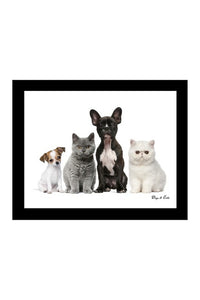 Cats & Dogs Canvas - Joinwell Malta
