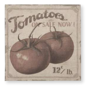 TOMATOES CANVAS MULTI COLOUR